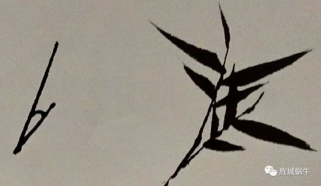 竹叶的画法模板,竹叶的钢笔画法