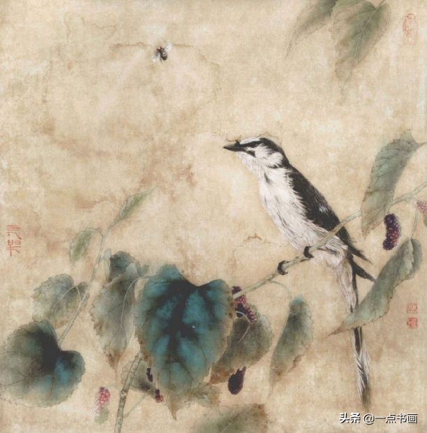 工笔斗方花鸟画图片,工笔花鸟画白描水仙