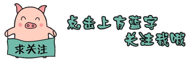 想开养鸡场前期需要准备什么,开养鸡场要具备哪些条件