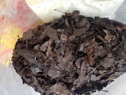 自制养花营养土的方法,养花用营养土还是黄泥巴土