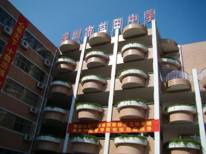 有一种钱买不到的回忆，叫做老深圳