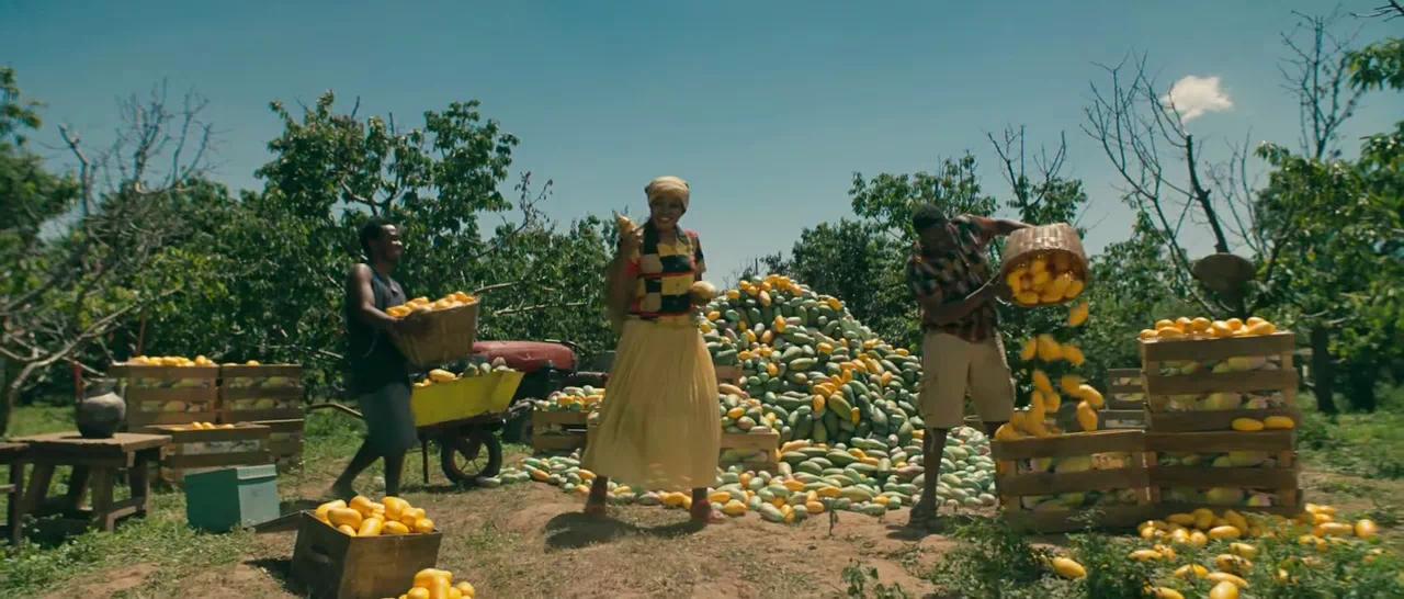 空姐导游直播带货?天猫国际在下怎样的一盘大棋?