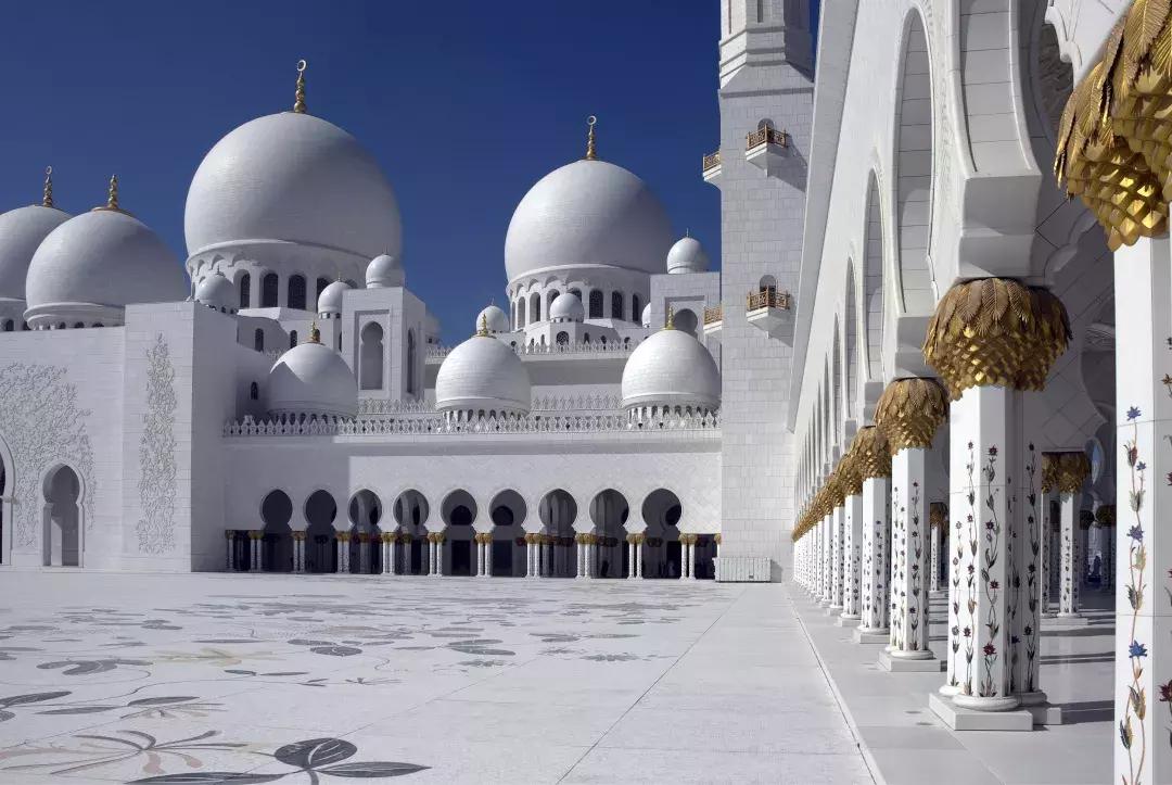 迪拜有钱女人的生活,迪拜土豪为什么有钱