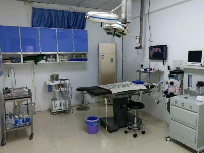 如何看待宠物看病贵,天津乖乖宠物医院看病贵吗