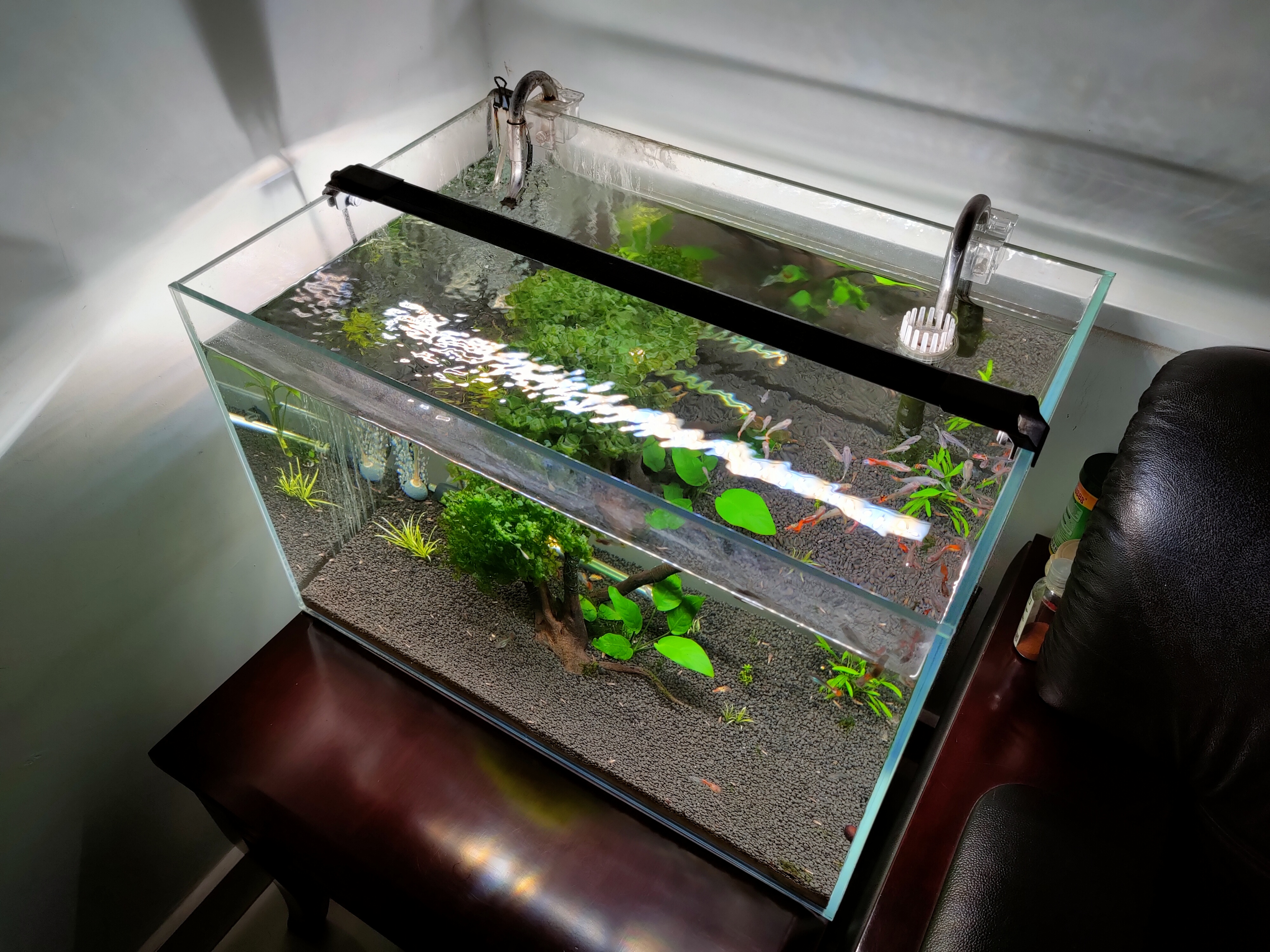 新手养鱼买什么鱼缸好,新手养鱼买什么鱼缸比较好