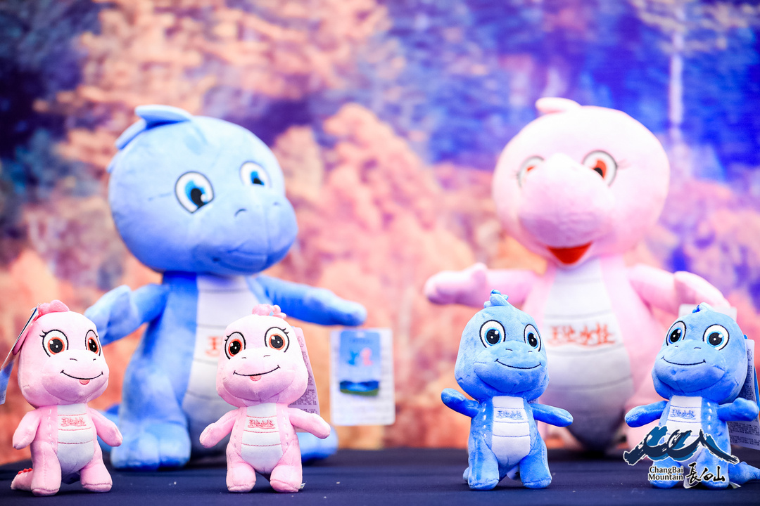 长白山特产礼物,长白山大自然的馈赠白桦树茸