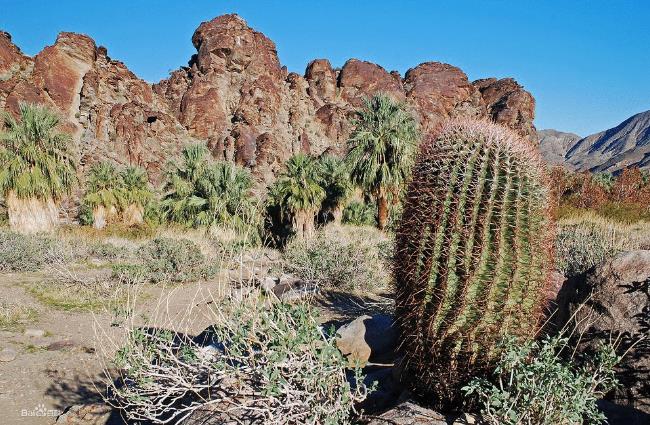 地球最奇特的沙漠,地球上最优越的气候是什么气候