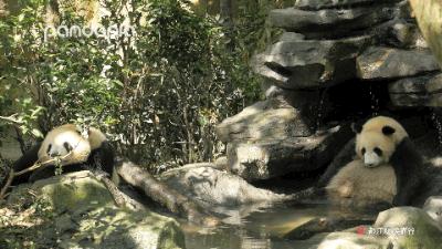 鍥藉疂缇庣櫧,鍥藉疂鐢ㄧ殑缇庣櫧闈㈣啘