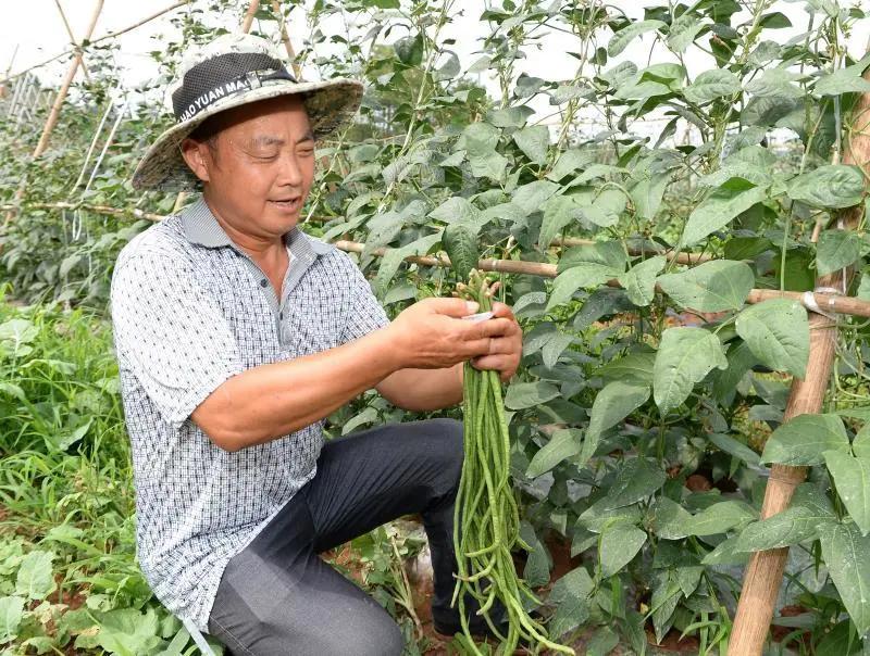 成都东部新区智慧田园,成都生态田园