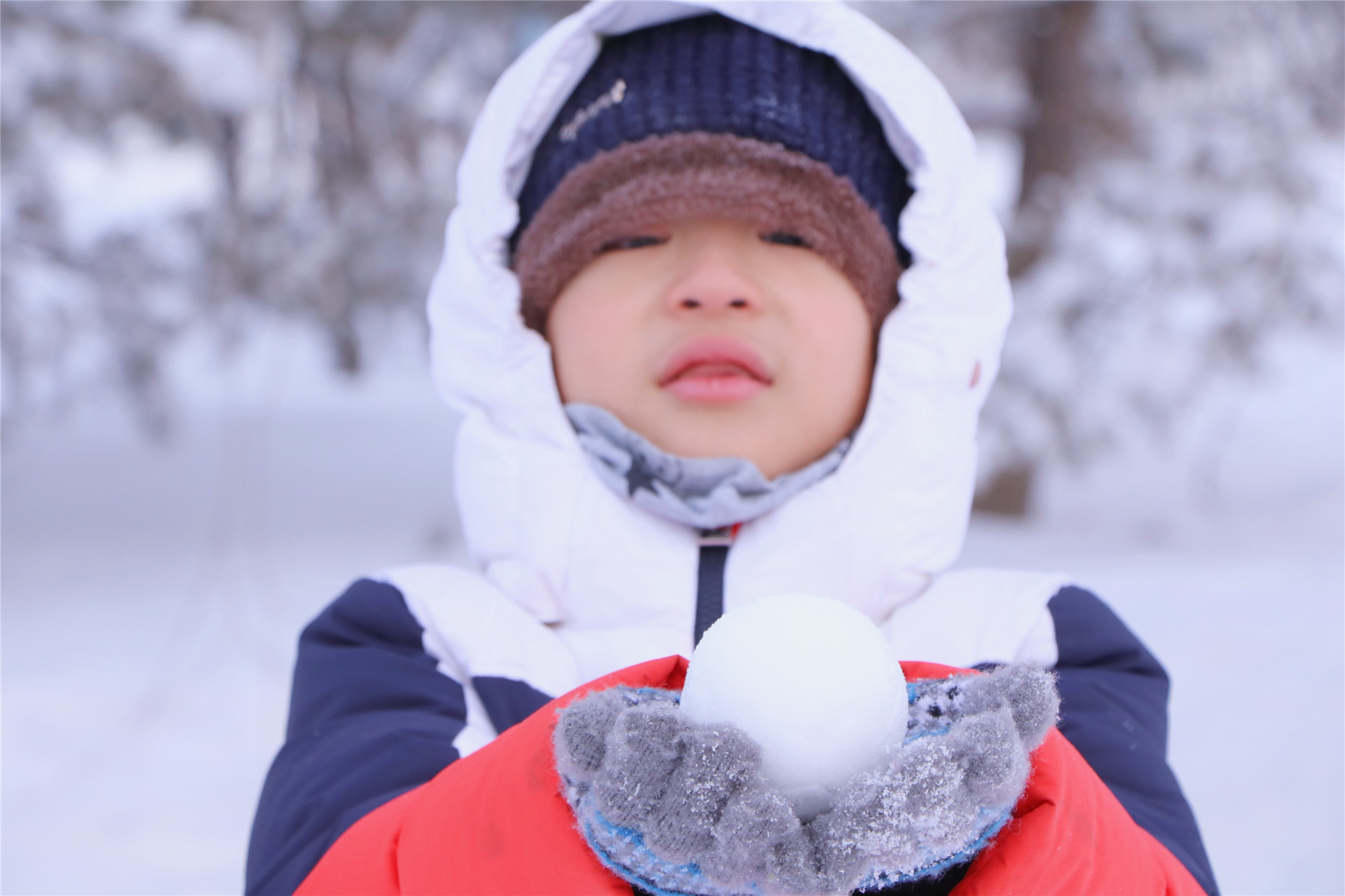 伏尔加庄园和俄罗斯风情小镇,伏尔加庄园浪漫的俄式冬季