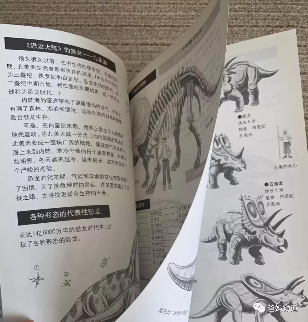 3-5岁儿童恐龙大全,0-6岁儿童恐龙合集