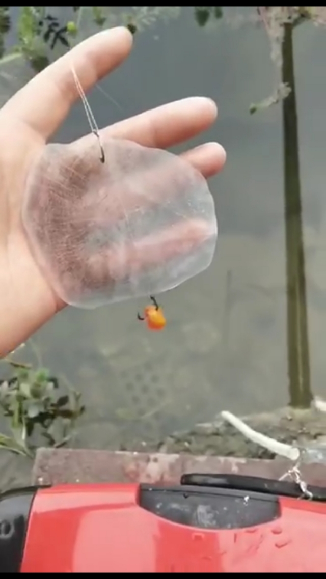 学会这样制作钓鱼窝料，鱼获起码翻三倍，你就偷着了吧