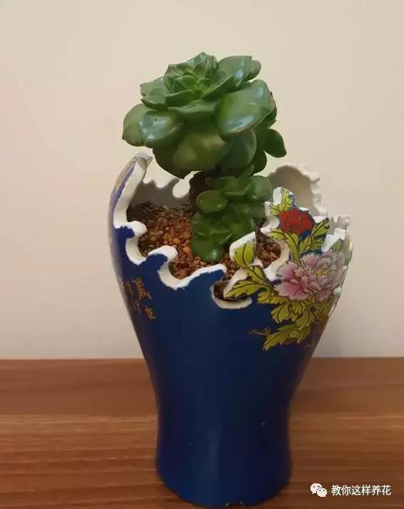 切割陶瓷酒瓶做花盆最简单的方法,没有工具怎么把陶瓷酒瓶弄成花盆