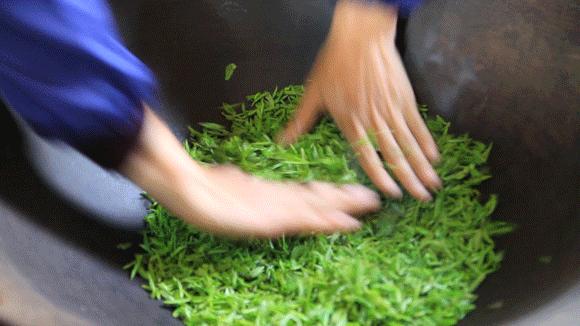 江苏宜兴绿茶价格表,江苏爆款茶叶绿茶