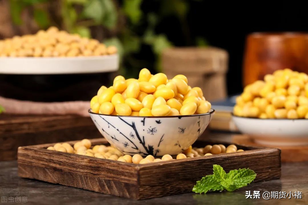 大豆供应短缺,大豆期货供求分析