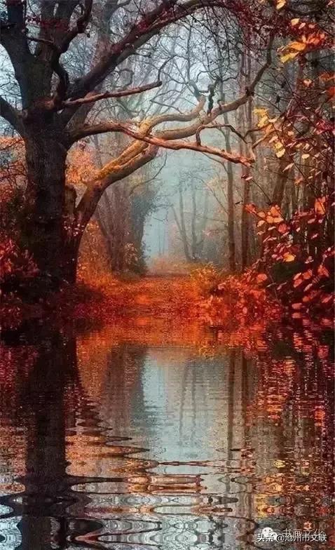 今生不渡此身更待何时渡原话,今生不借此生渡