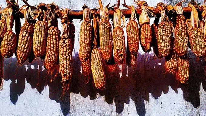 安徽值得去的四大古村,安徽春天最美十大村落