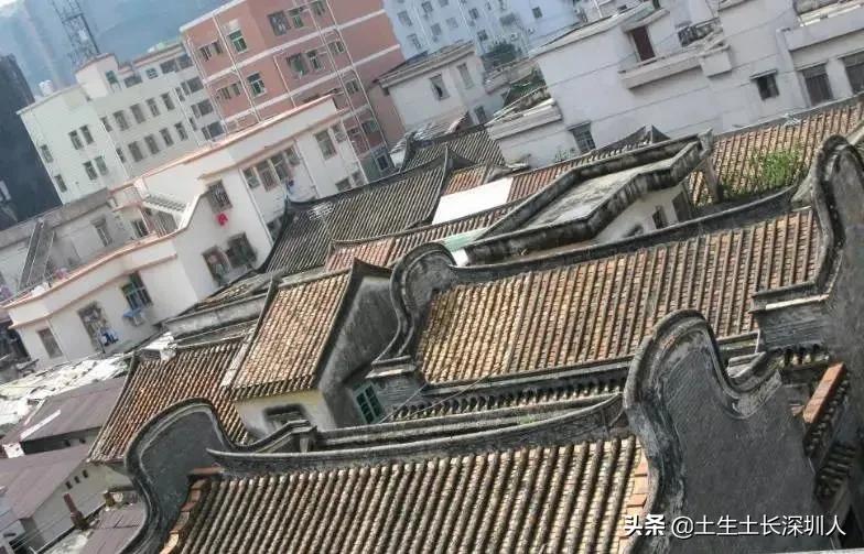 沙井是什么意思网络用语,沙井的含义是什么