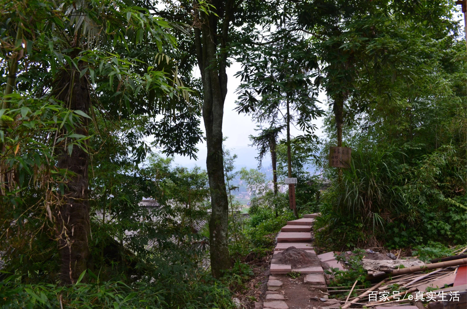 上里古镇，一个名副其实的古镇，人很少，跟丽江大研古城有的一比