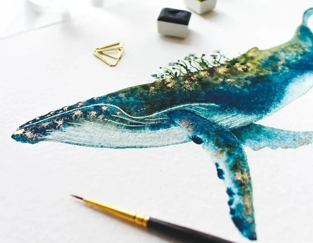 一头蓝鲸等于50只大象，被插画师画成小可爱，治愈了我们的内心