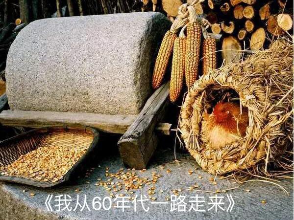 10我从60年代一路走来