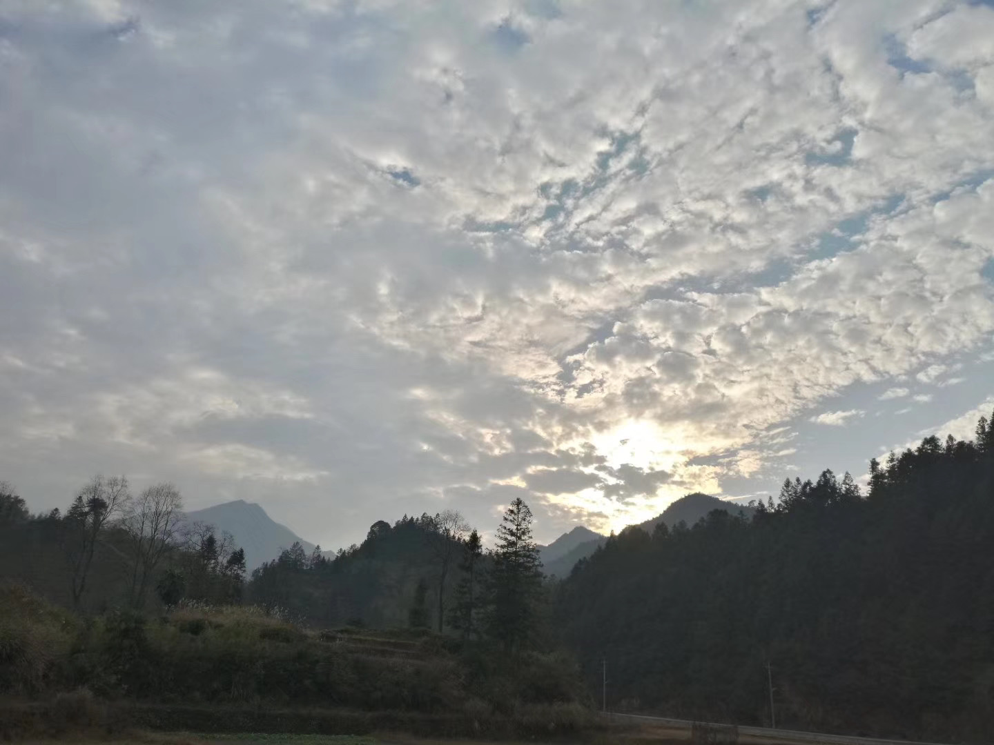 驻村日记六十八期,驻村工作日记40篇200字春节前