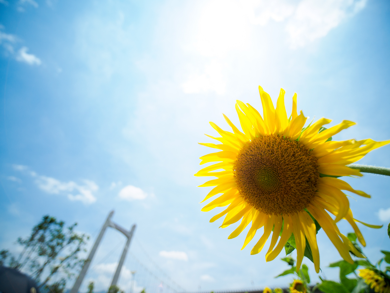 福州仓山区旅游攻略一日游,福州旅行攻略地图