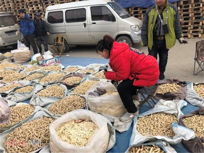 长白山人参特产直播卖货,长白山特产直播平台