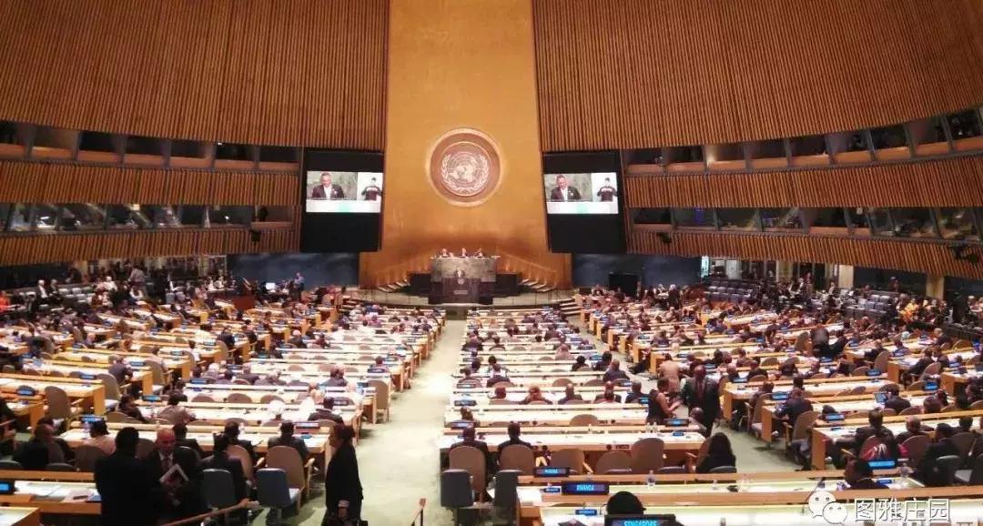 假如被困荒岛吃什么,假如你被困荒岛只能带三样东西