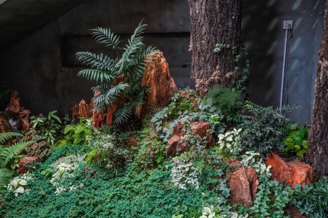 团圆盆菜的10种做法,团圆大盆菜有哪些菜式