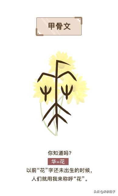 稀有姓氏趣谈：从花木兰到底姓不姓“花”谈起