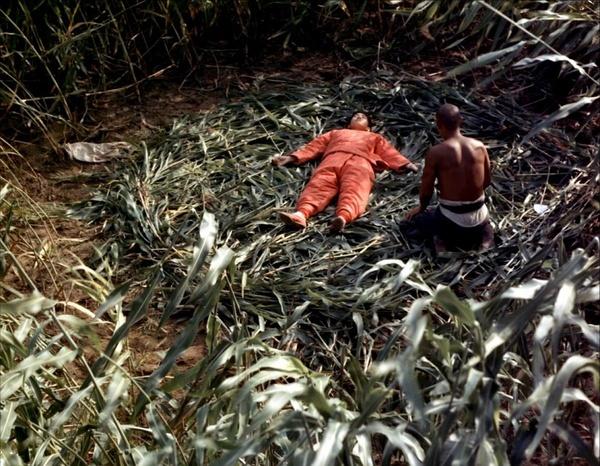 张艺谋经典爱情故事,张艺谋的电影情感