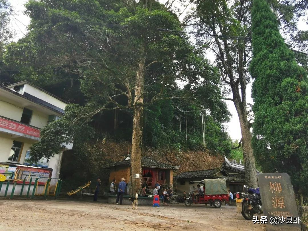 沙县总共有几个乡镇,沙县是属于哪个市