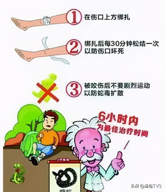 惊险！居民家中竟然有蛇出没这份防蛇攻略请收好