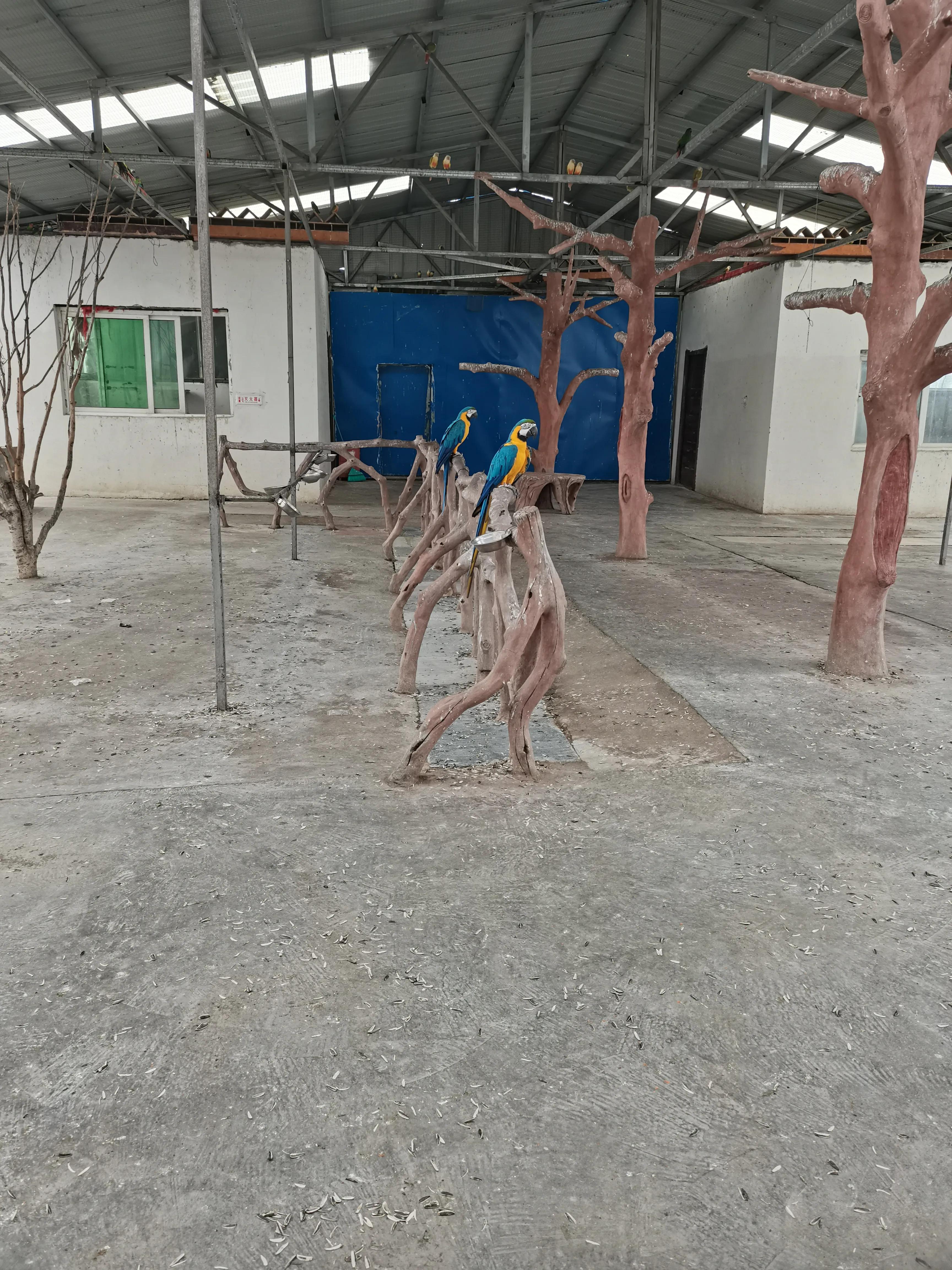 宿州火车站到宿州野生动物园,济南野生动物园和宿州野生动物园