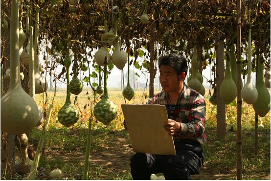 鎵堥瞾,鎵堥瞾鍥界敾