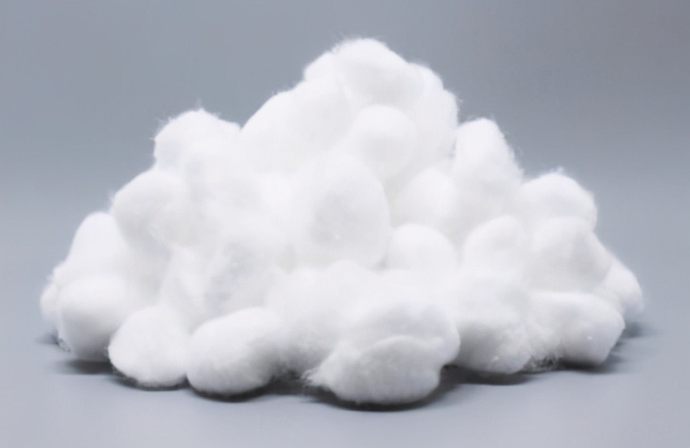 猫的伤口化脓成一个洞会死吗,猫的伤口化脓成一个洞