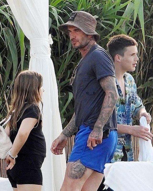 小七变胖了,小七胖成啥样了