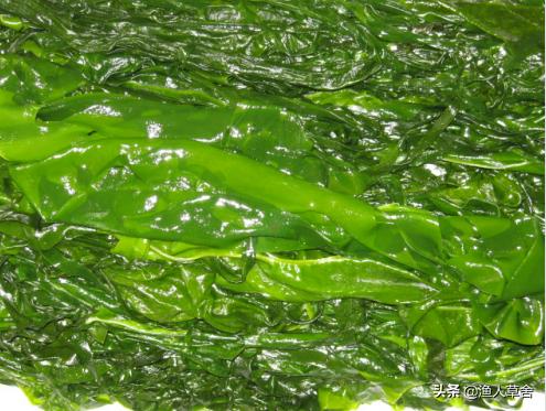 大连特色农产品有哪些,辽宁省农产品地理标志产品都有啥