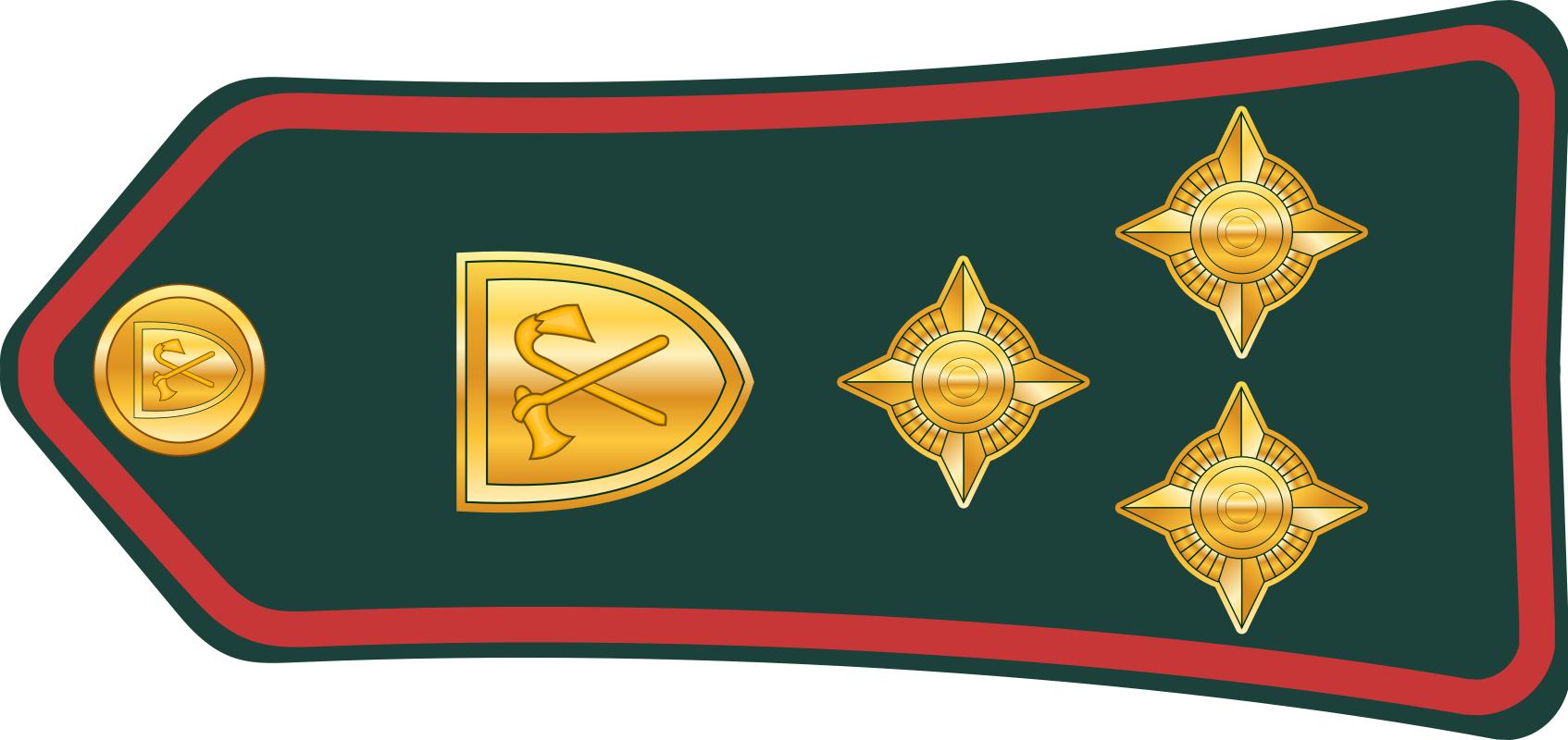 西亚各国军衔,各国军衔标识坦桑尼亚