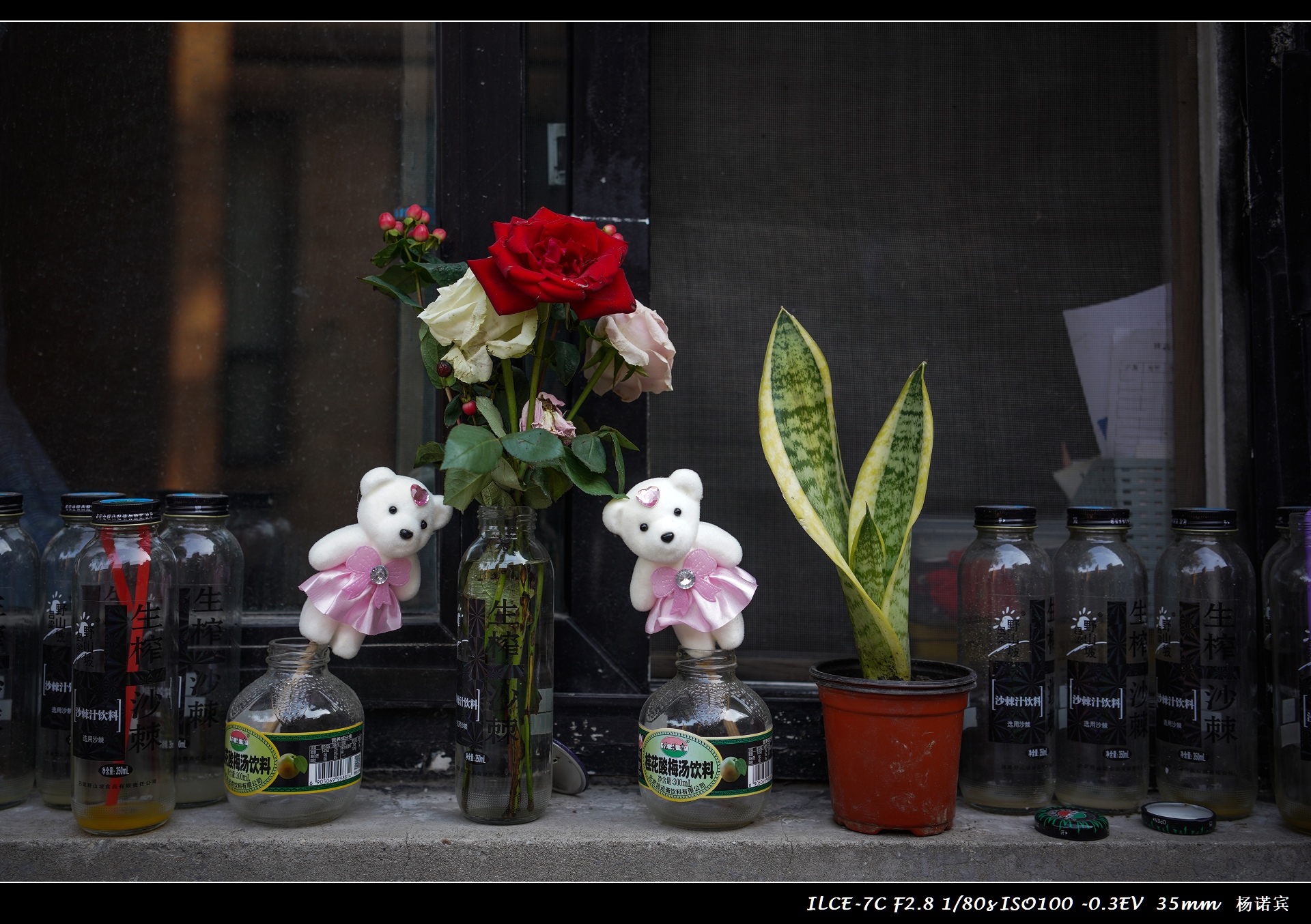 SONYA7C体验至上丨首次拍摄评测