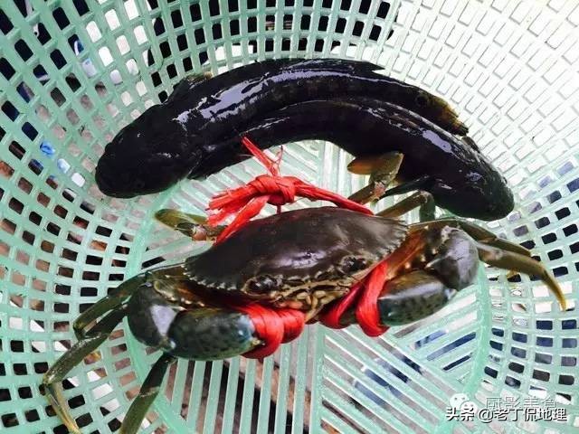 中国海鲜地图,中国海鲜最多地区