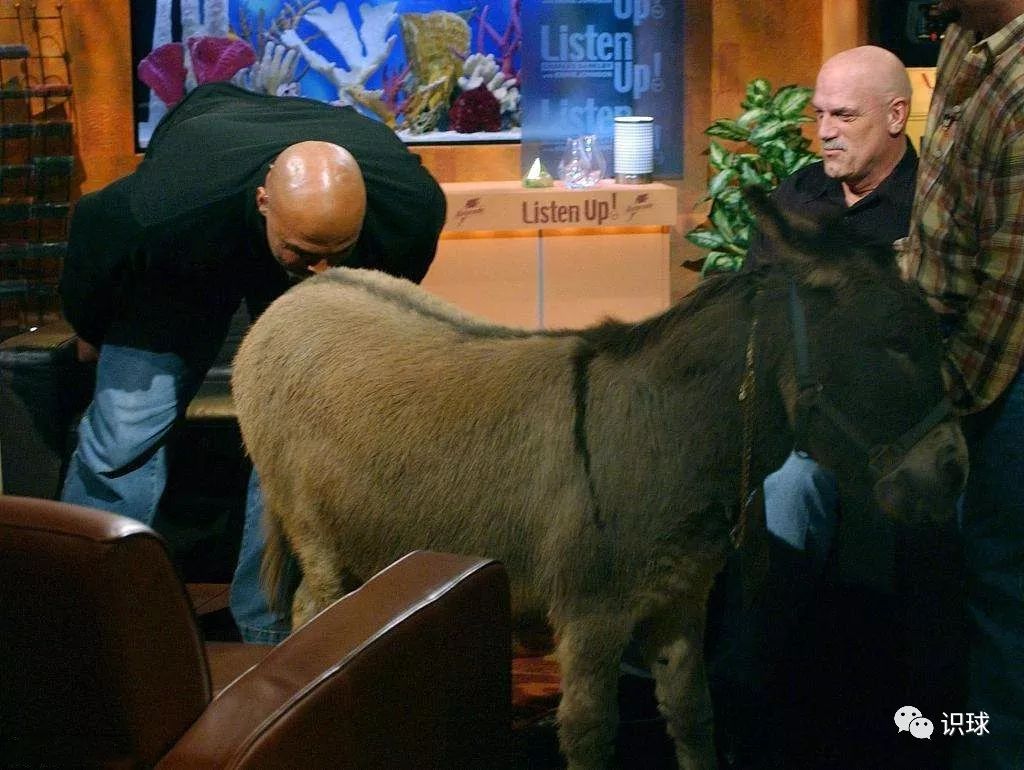 巴克利这半辈子,巨臀大如斗,毒奶一波波。