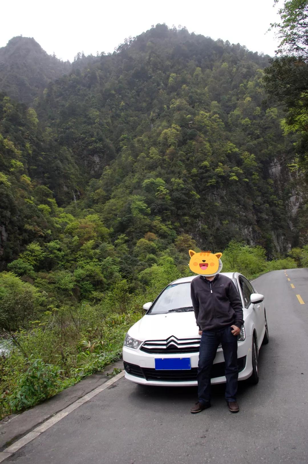 法系车雪铁龙世嘉,法系车雪铁龙c4世嘉怎么样