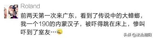灭蟑螂最好的方法一招解决,蟑螂怎么灭杀最好方法