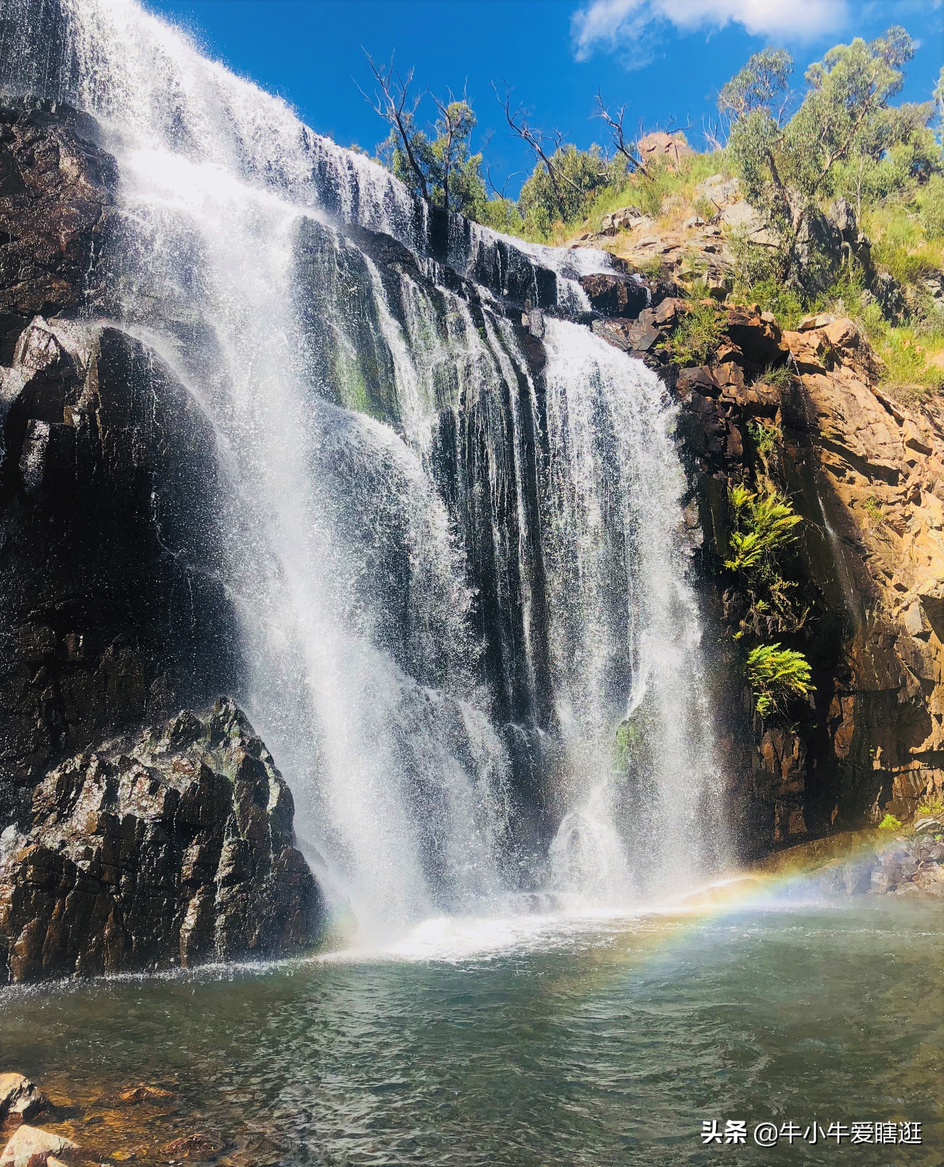 悉尼7日游自由行攻略,澳洲阿德莱德旅游攻略