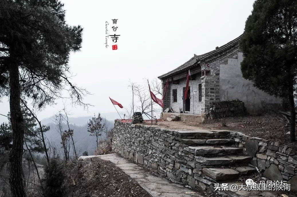 丹凤第一小学老师,丹凤县第一小学老师视频