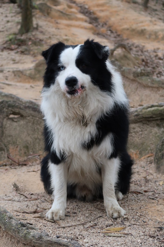 周日跟随珠海户外网板樟山游记