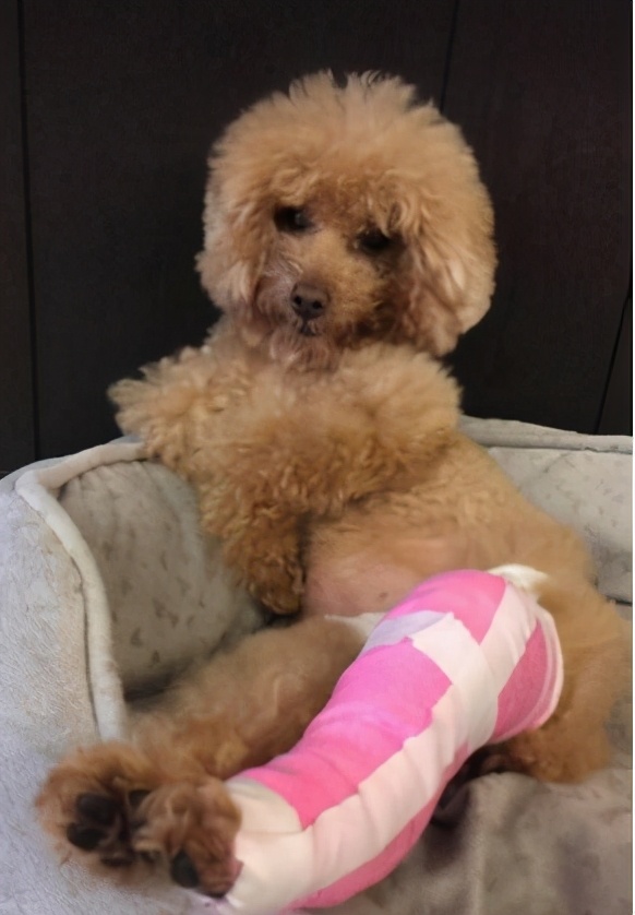 再生气也不能打孩子的几个部位,再生气都不能打的三个部位