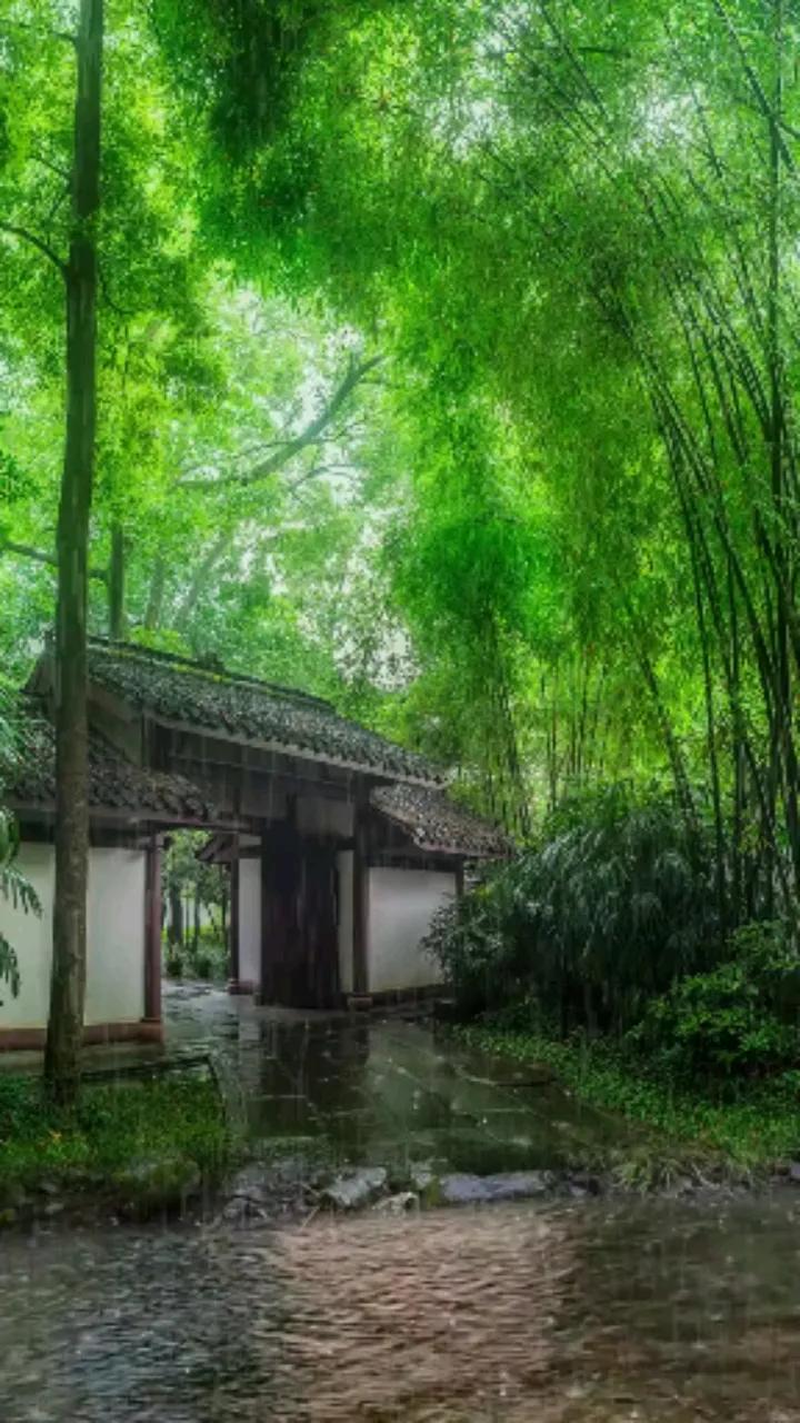 唐诗三百首其中最精妙的诗,唐诗三百首最经典长诗